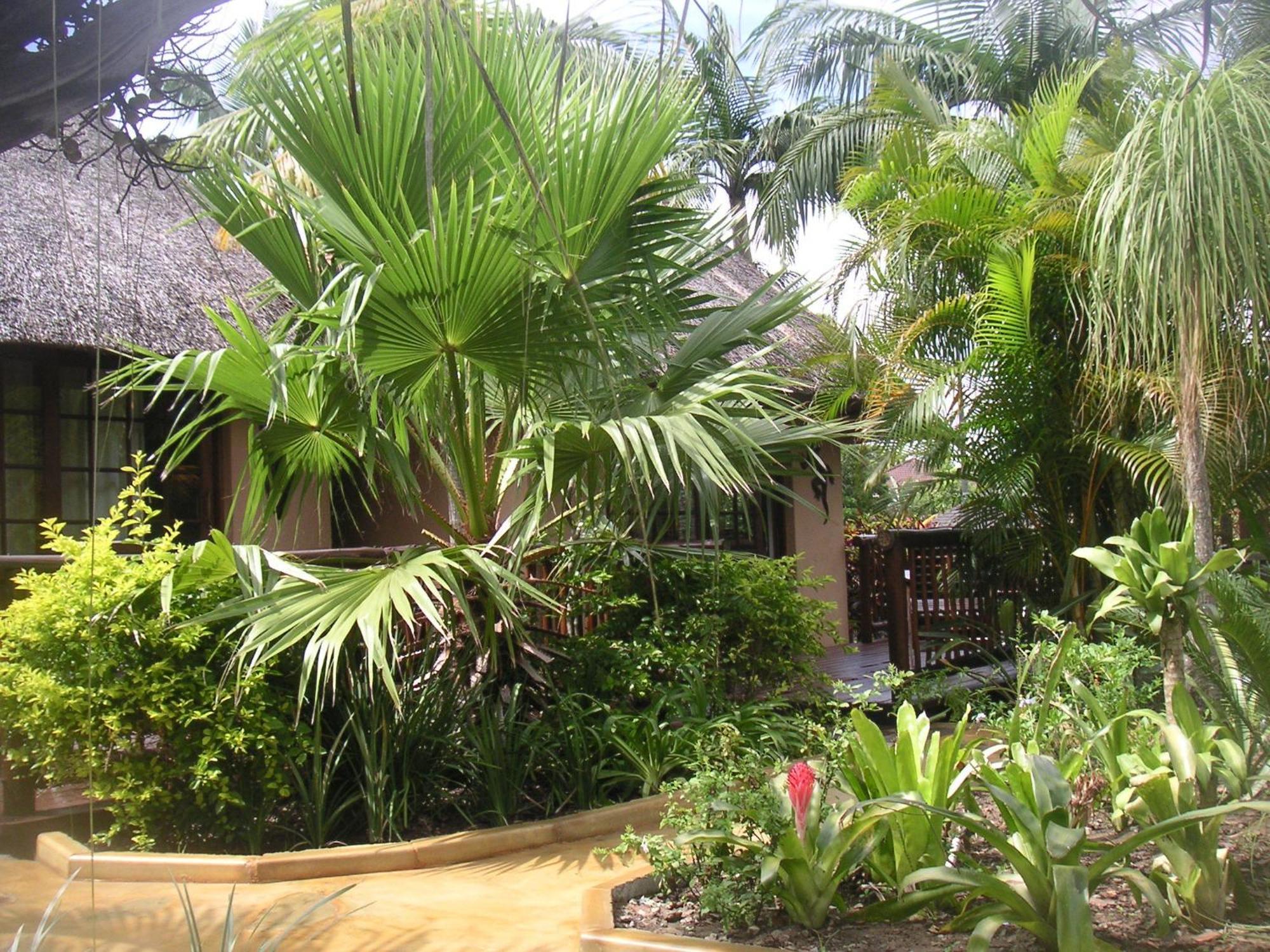 Afrikhaya Guest House Сент-Люсия Экстерьер фото